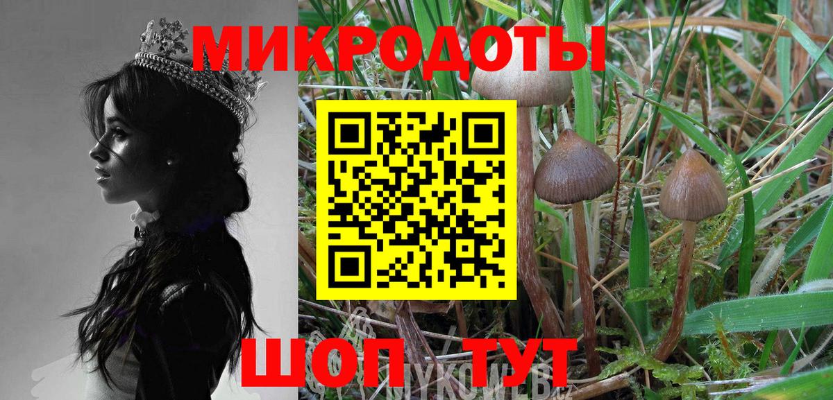 Галлюциногенные грибы Psilocybe  Вход с VPN  Бугуруслан  Псилоцибиновые грибы Magic Shrooms 
