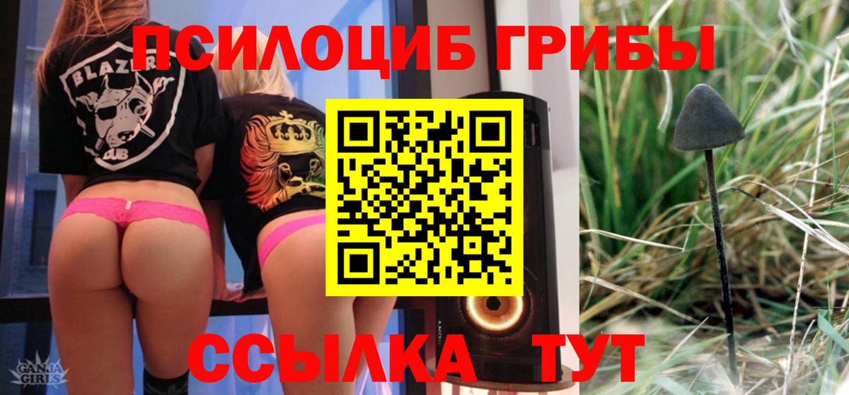 Галлюциногенные грибы Psilocybine cubensis Бугуруслан